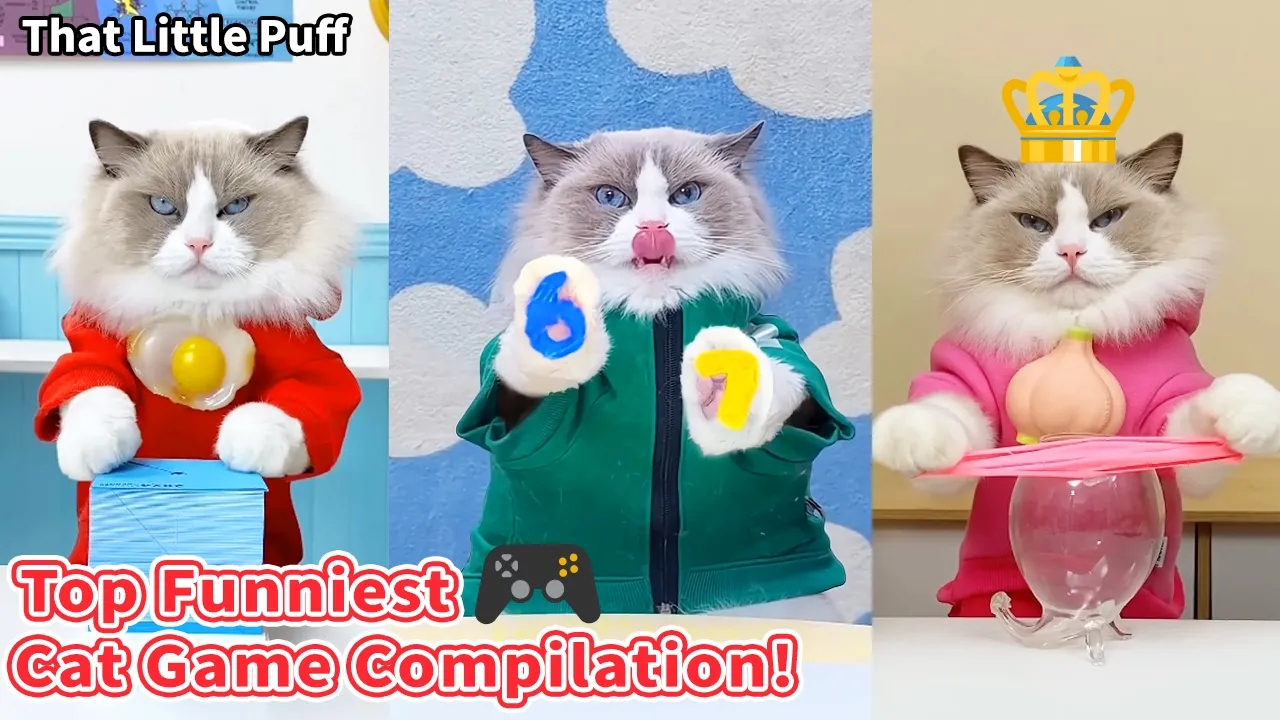Top Funniest Cat Game Compilation！ 🎮🕹️| That Little Puff