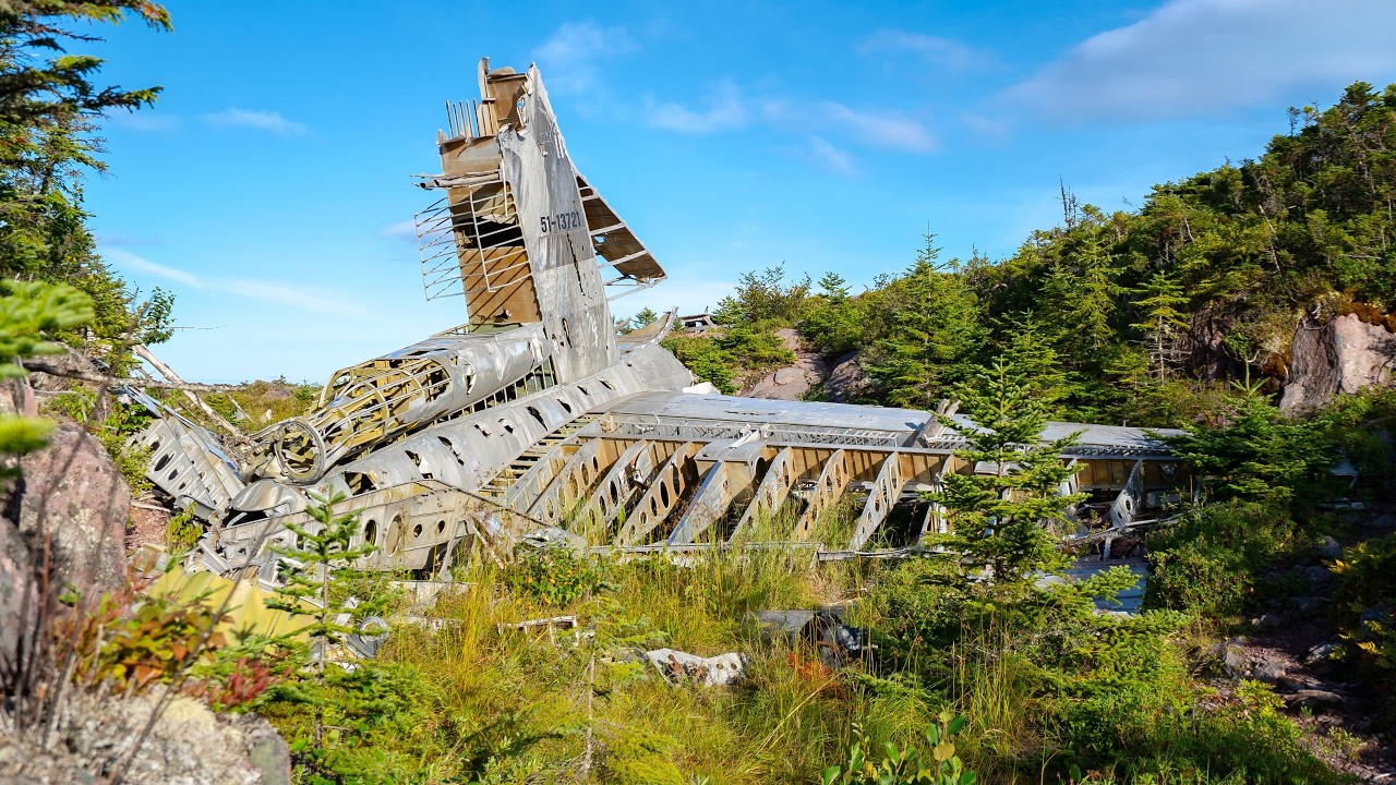 Tragic ABANDONED Plane Crash in the Forest