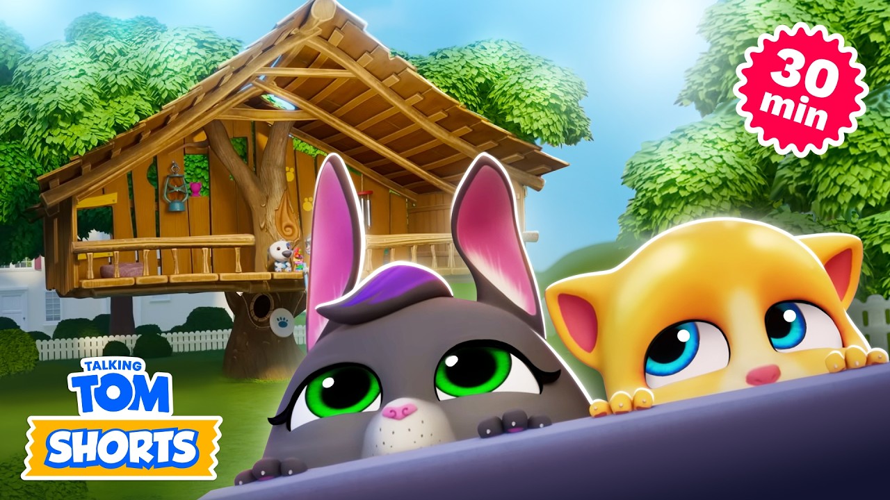 Treehouse Adventures! 🌳 Talking Tom Shorts Compilation