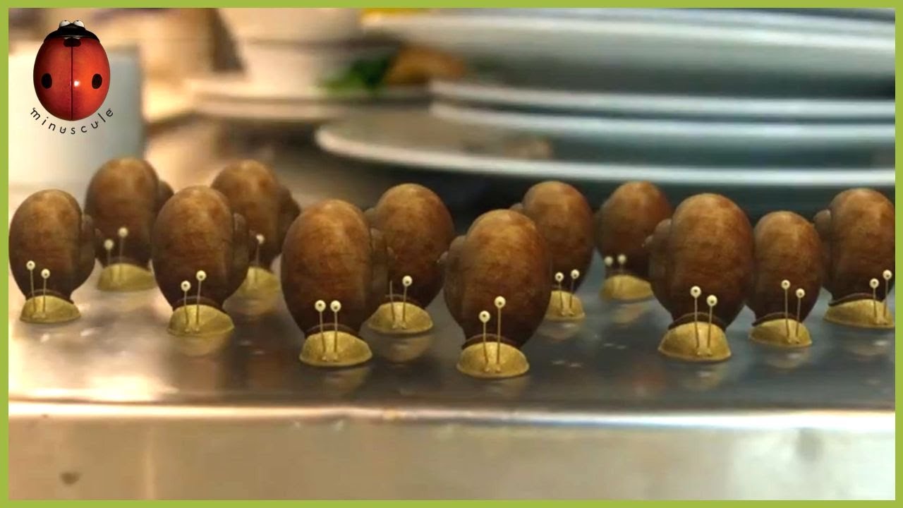 Twelve Angry Snails 🐌 Minuscule | 60' Compilation
