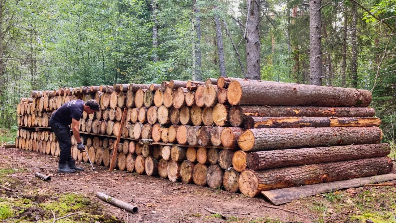 Two Men Build LOG CABIN In The Wild | Full Build by ‪@lifeinthesiberianforest1‬