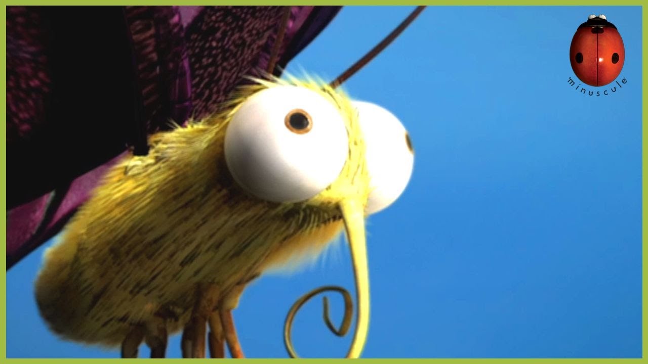Ugly | Minuscule | 25' Compilation