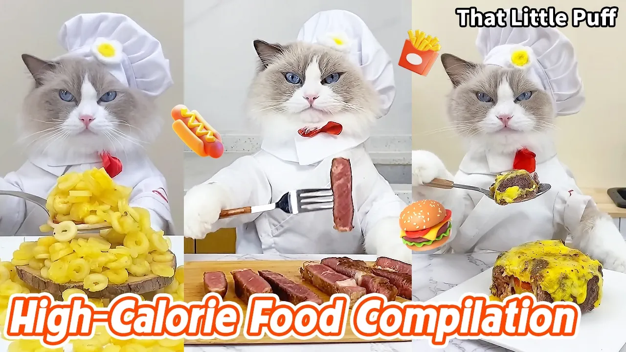 Ultimate High-Calorie Food Compilation🍔🔥Every Bite Is Rich Indulgent & Delicious! | That Little Puff
