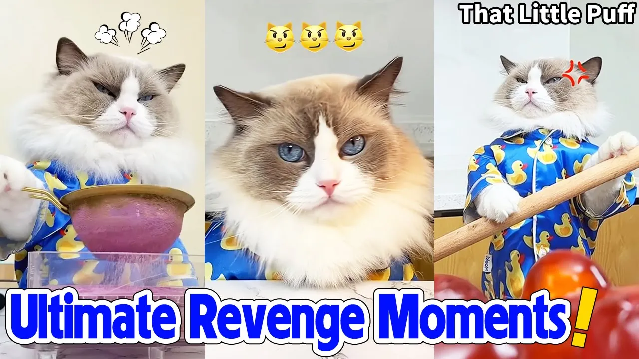 Ultimate Revenge Moments! 🤪| That Little Puff