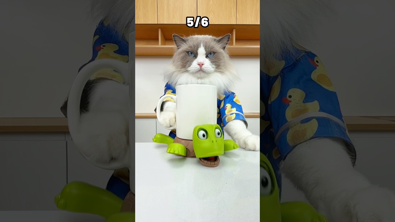 Unexpected items… #thatlittlepuff