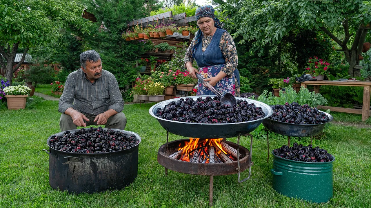 Village Cooking – Black Mulberry Harvest & One-Ingredient Winter Syrup 🍇🌿