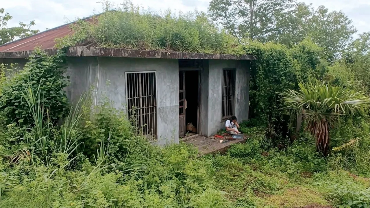 Volunteers Transform Old Lady’s Overgrown House for Free | by ‪@CleanupRelax‬