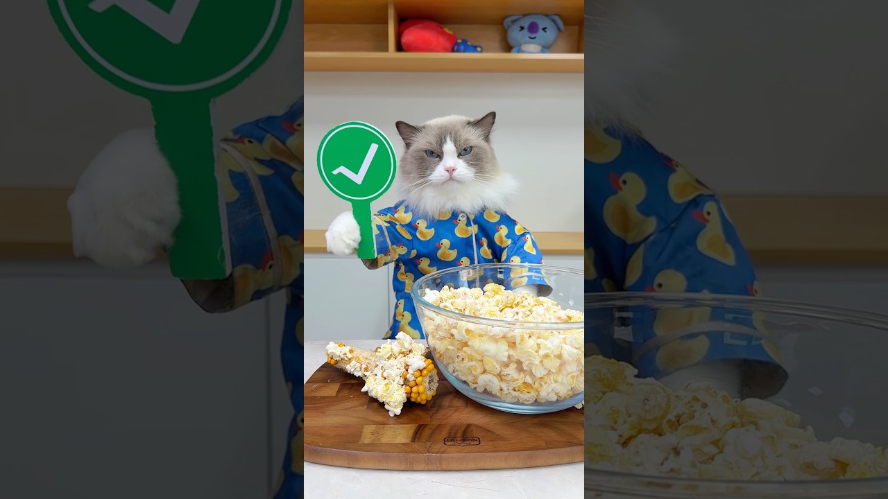 Wait… this really works?! #thatlittlepuff