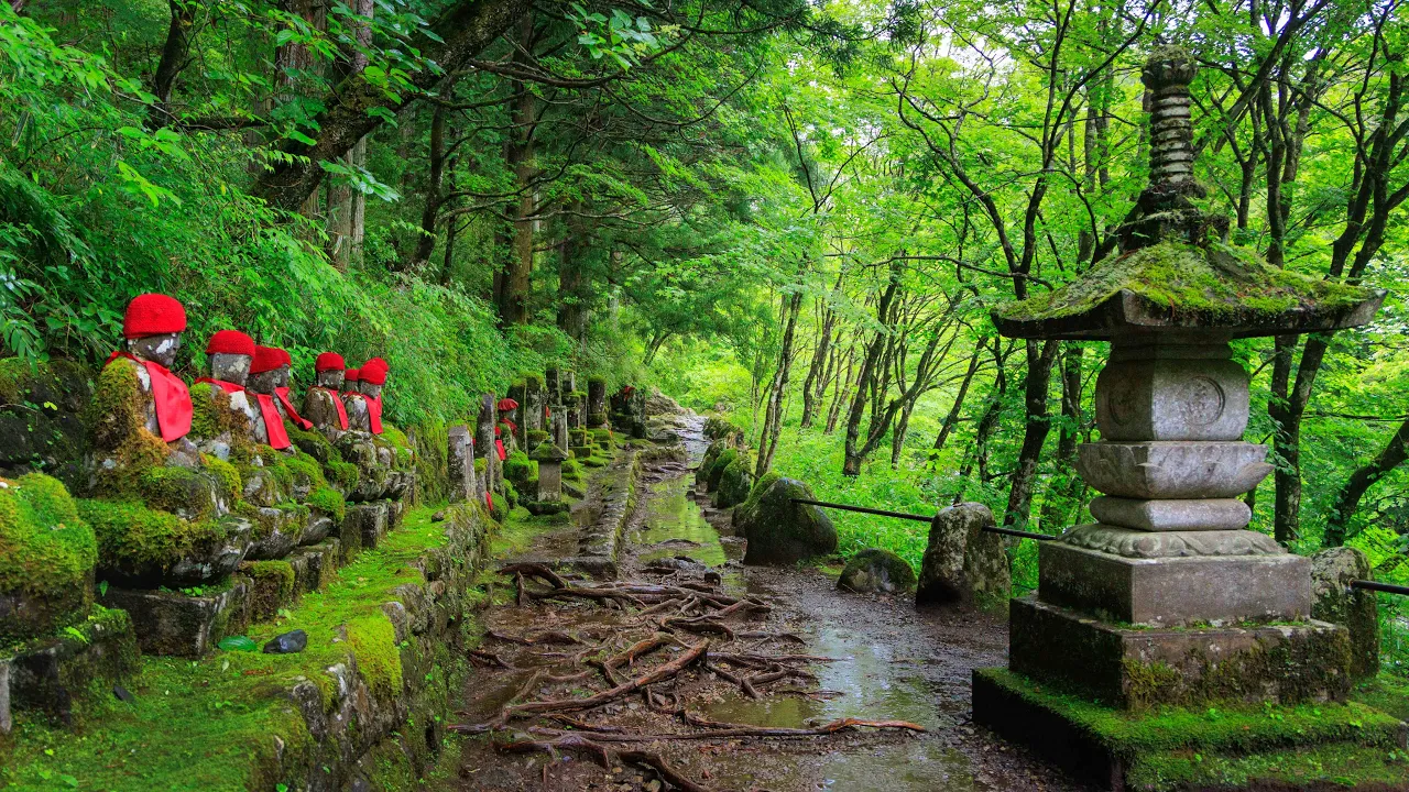 Walking in the Rain through Nikko Forest and Shrine | Tochigi, Japan