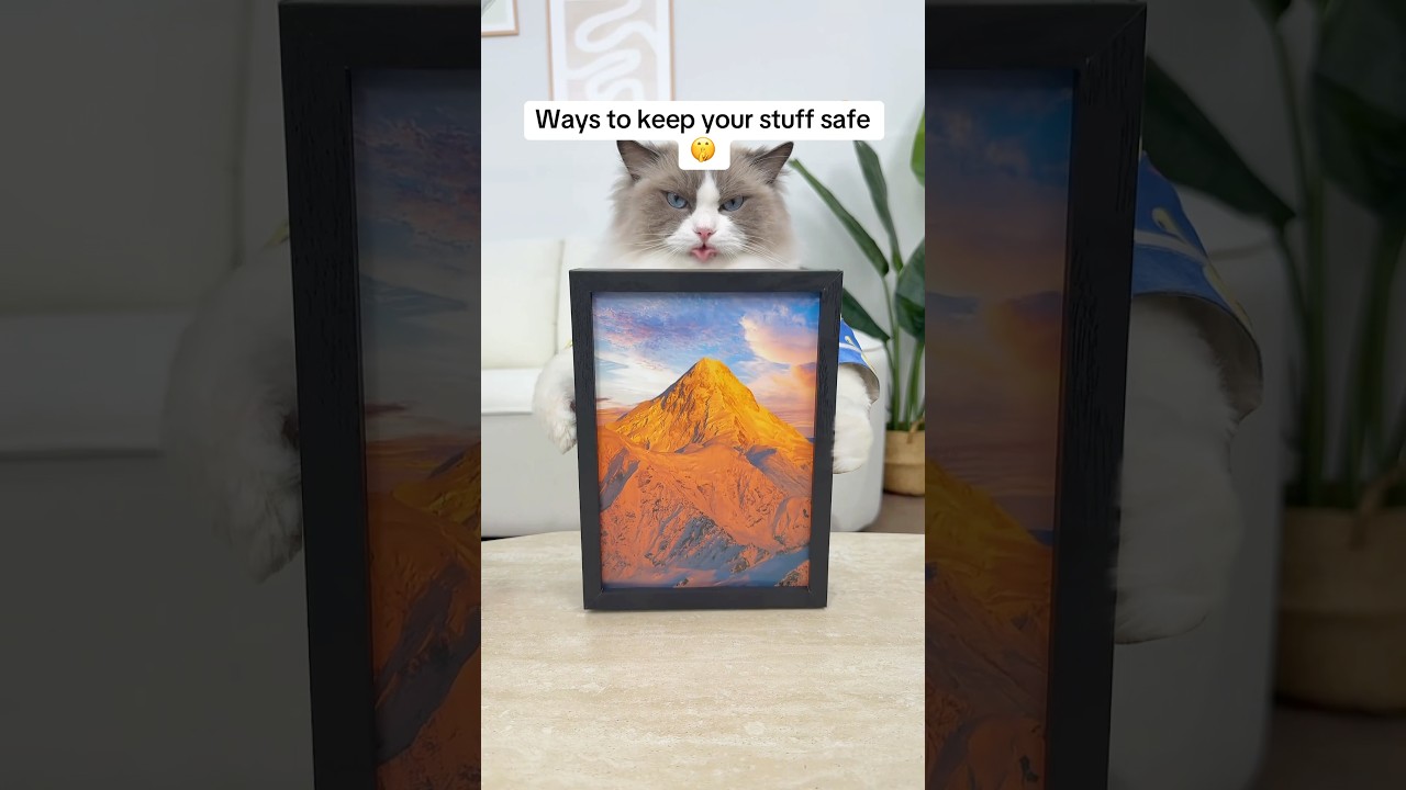 Ways to keep your stuff safe! #thatlittlepuff