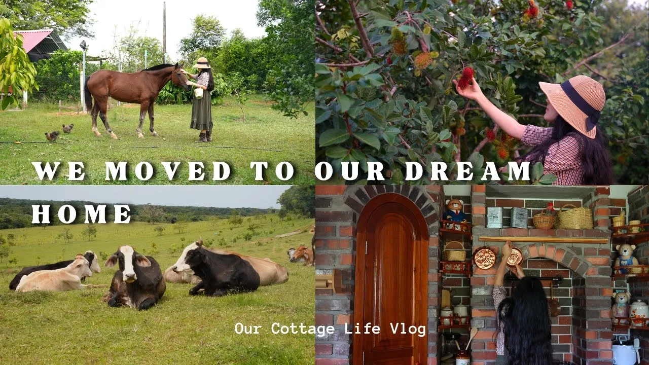 We Moved to a Remote Village | Countryside Life 🐮🥧