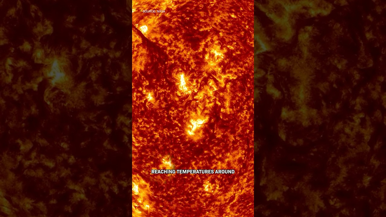 What The Sun REALLY Looks Like