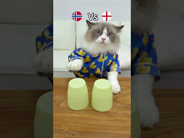 Which team is going to win? Puff is rooting for @erling  !#thatlittlepuff #FIFAGo￼