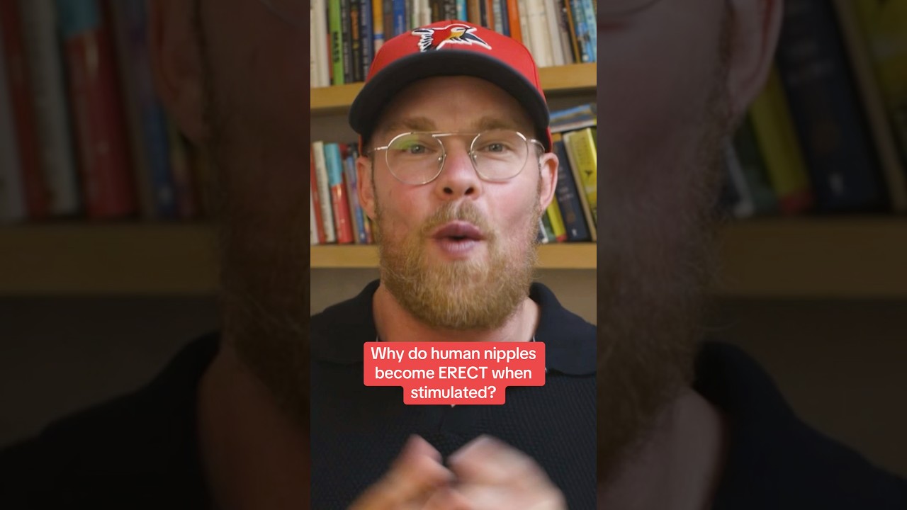 Why do nipples become erect?