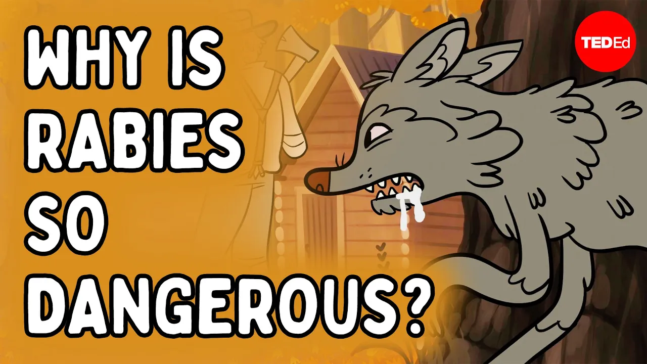Why is getting bitten by a rabid animal so dangerous? - Charles Rupprecht