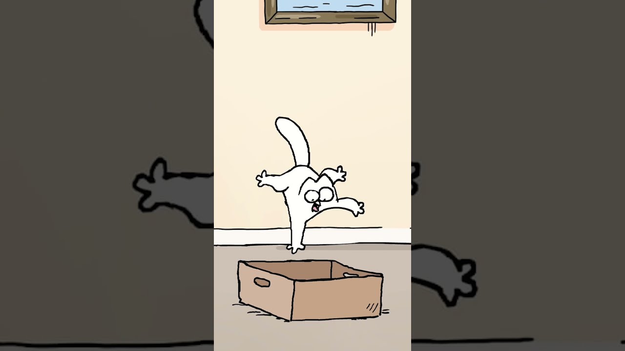 Why is the Cat so OBSESSED with this box?