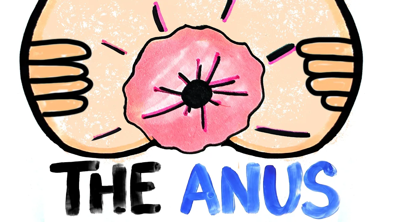 You’ll never look at it the same after this video